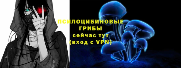 дмт Володарск