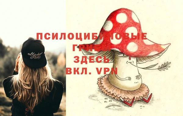 трава Бугульма