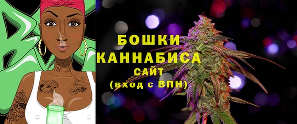 стафф Богородицк