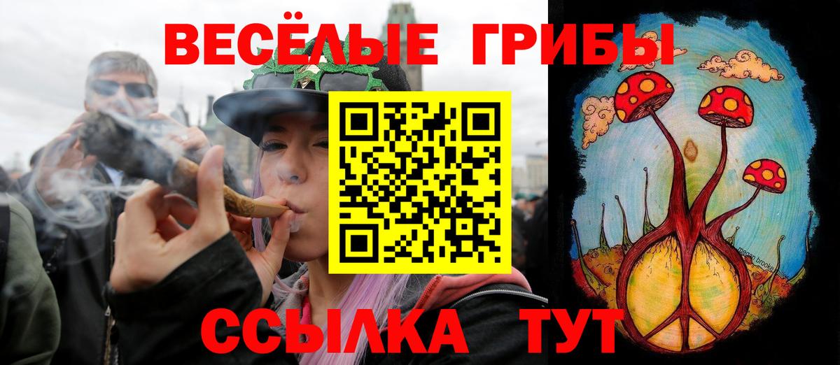 Галлюциногенные грибы ЛСД Среднеуральск